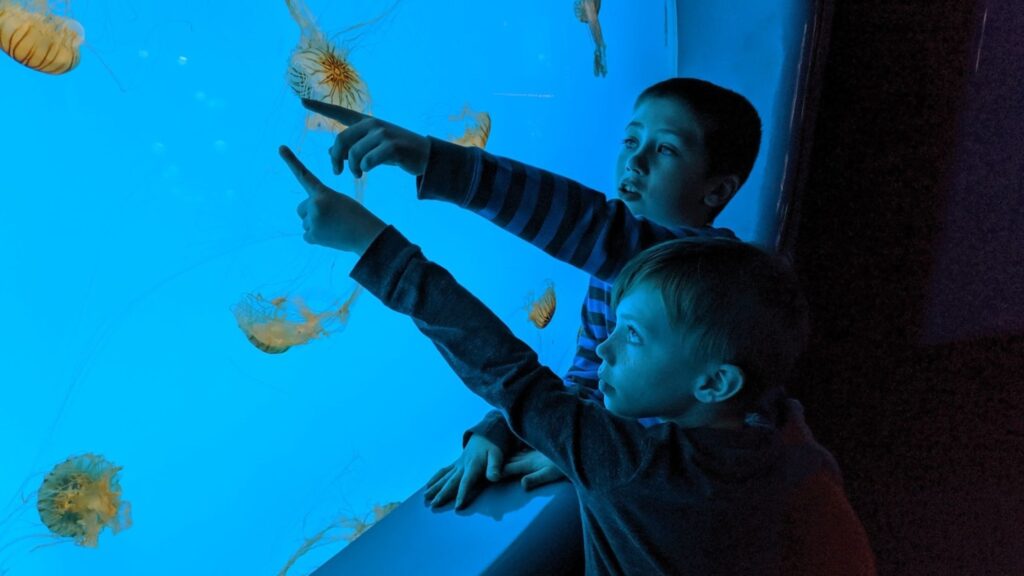 Acuario de Santa Pola con Niños